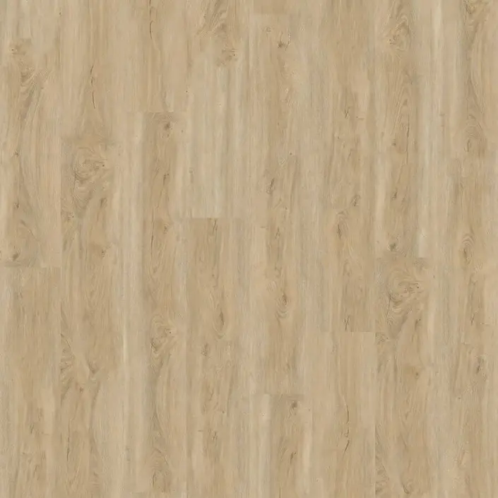 Ambiant Robusto Dryback Naturel