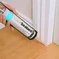 ColorSealant