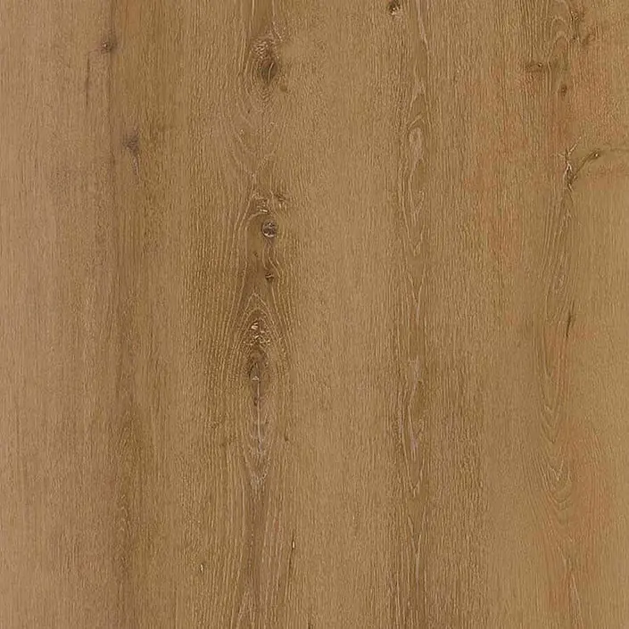 COREtec Authentics HB 4V E 50LVREH139 Regina