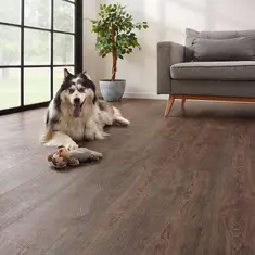 COREtec Essentials 1500 Serie 50-LVR-9601 Jasper Oak 01