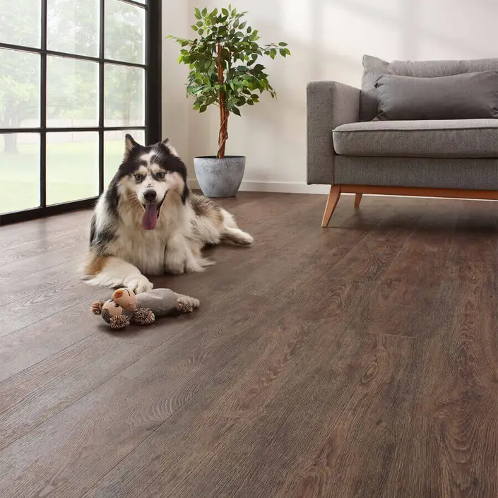 COREtec Essentials 1500 Serie 50-LVR-9601 Jasper Oak 01