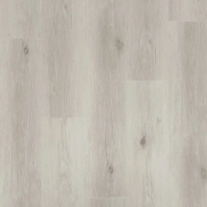 COREtec ProPlus 1200 Serie 50RLV1201 Comcast