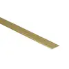 Dilatatieprofiel Goud 25 mm (270 cm)