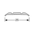 Dilatatieprofiel Goud 25 mm (270 cm)