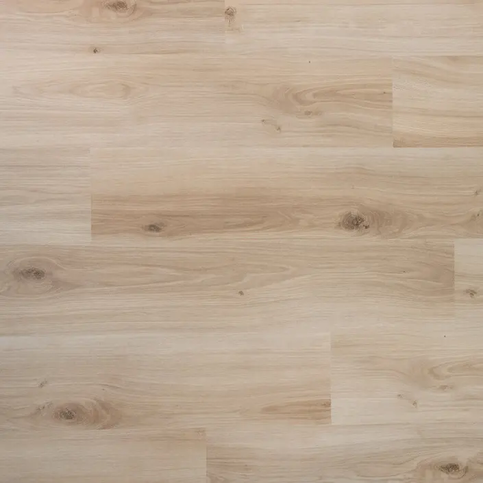 Douwes Dekker Spontaan 4949 Gember