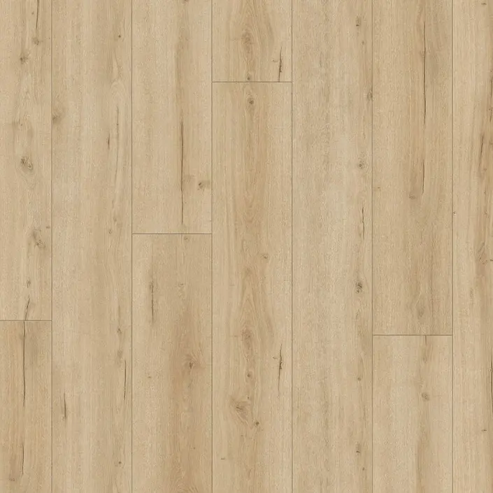 Douwes Dekker Sympathiek 03483 Vijg