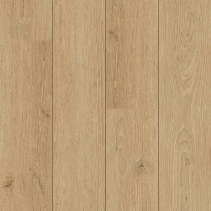 Douwes Dekker Sympathiek 5037 Kamille