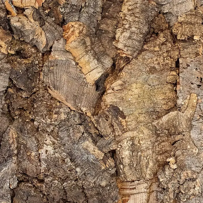 FLOER Akukurk Wandpanelen Boomschors Onbewerkt 90x60 cm