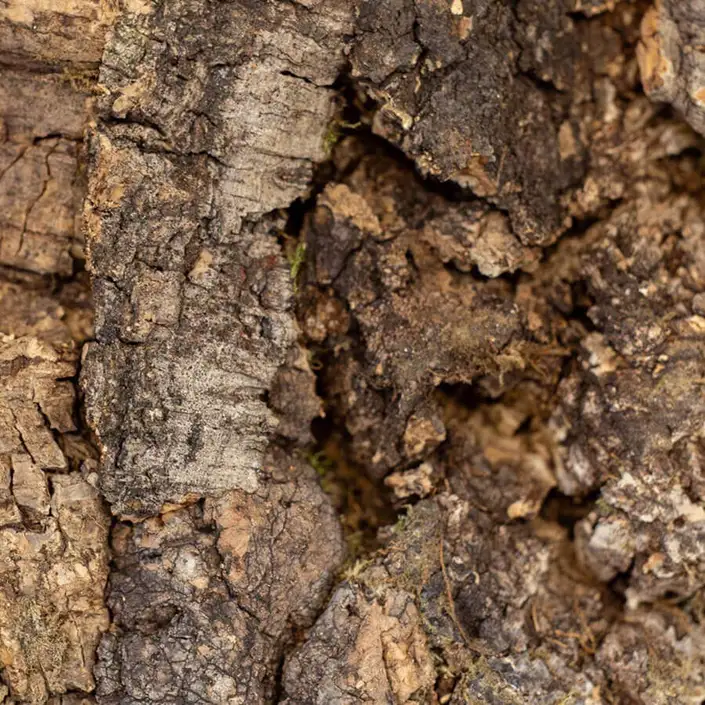 FLOER Akukurk Wandpanelen Boomschors Onbewerkt 90x60 cm