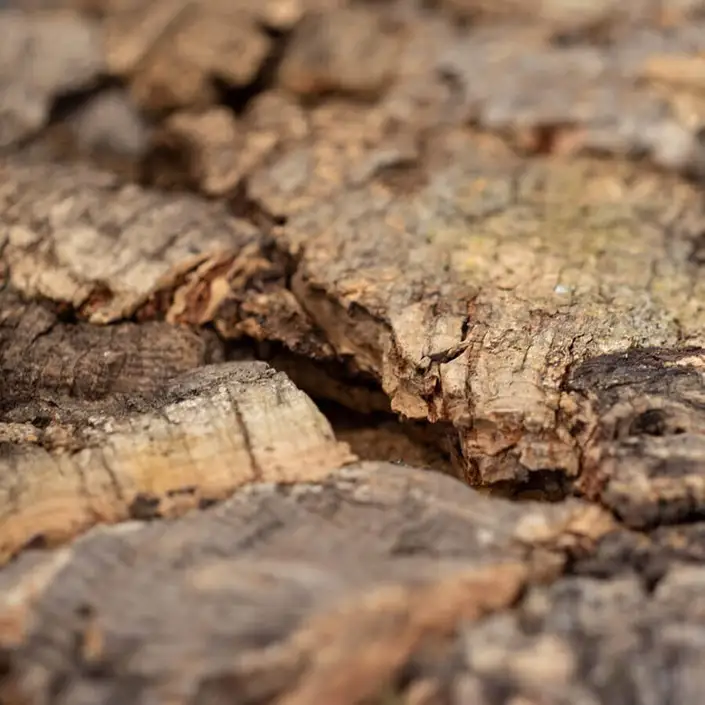 FLOER Akukurk Wandpanelen Boomschors Onbewerkt 90x60 cm