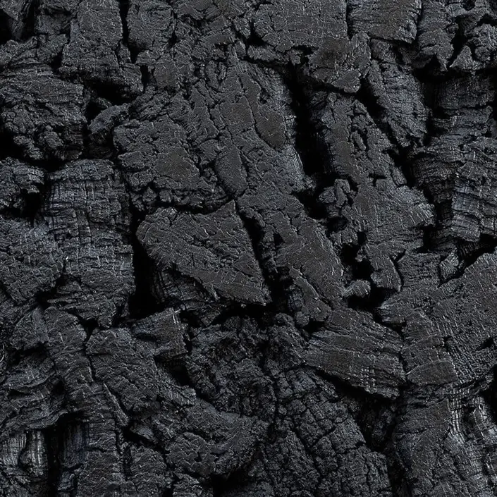 FLOER Akukurk Wandpanelen Boomschors Zwart 90x60 cm