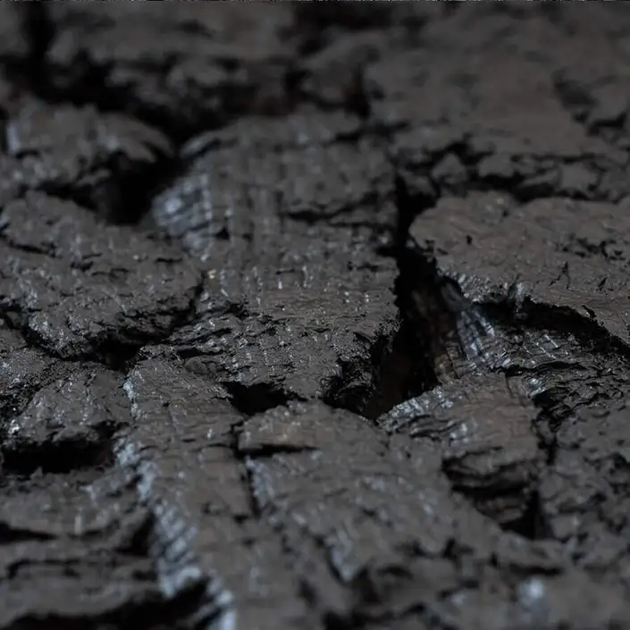 FLOER Akukurk Wandpanelen Boomschors Zwart 90x60 cm