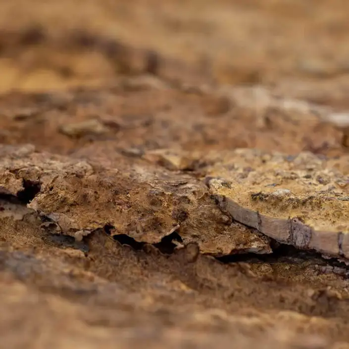 FLOER Akukurk Wandpanelen Zandsteen Natuur 90x60 cm