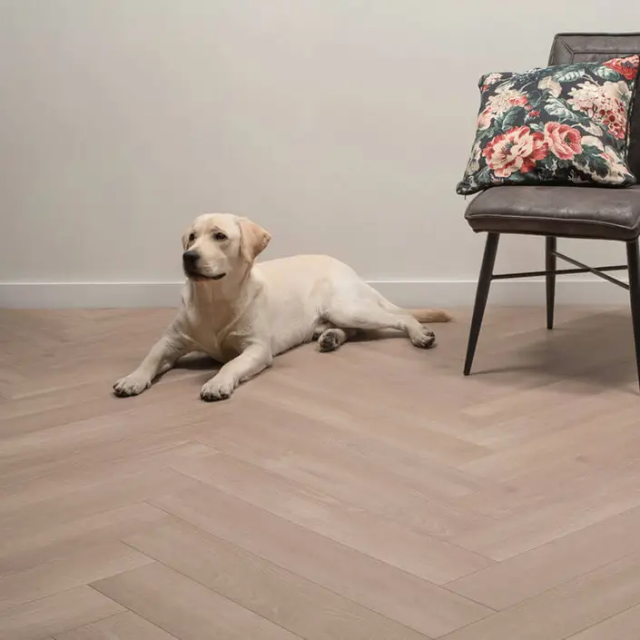 FLOER Hybride laminaat Walvisgraat FLR-1614 Griend Grijs