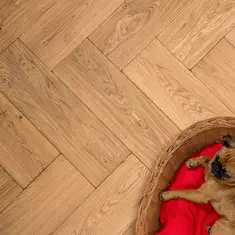 Floer Walvisgraat Parket Eiken Noestvrij Verouderd Naturel Geolied 80x16 cm