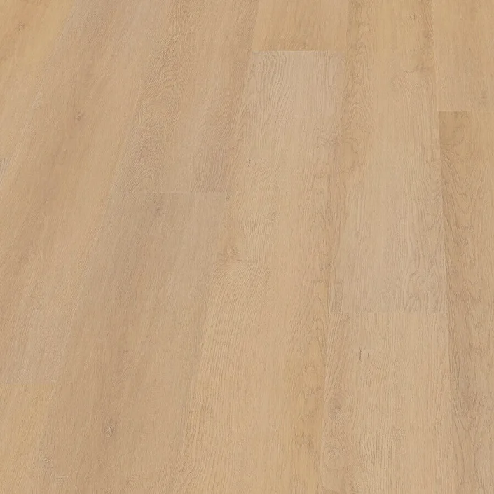 Hoomline Prestige Dryback Monaco 5066