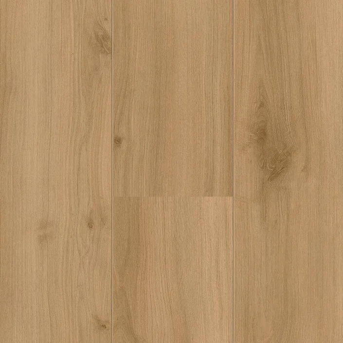 Hoomline Royal XL 4936 Jungfrau