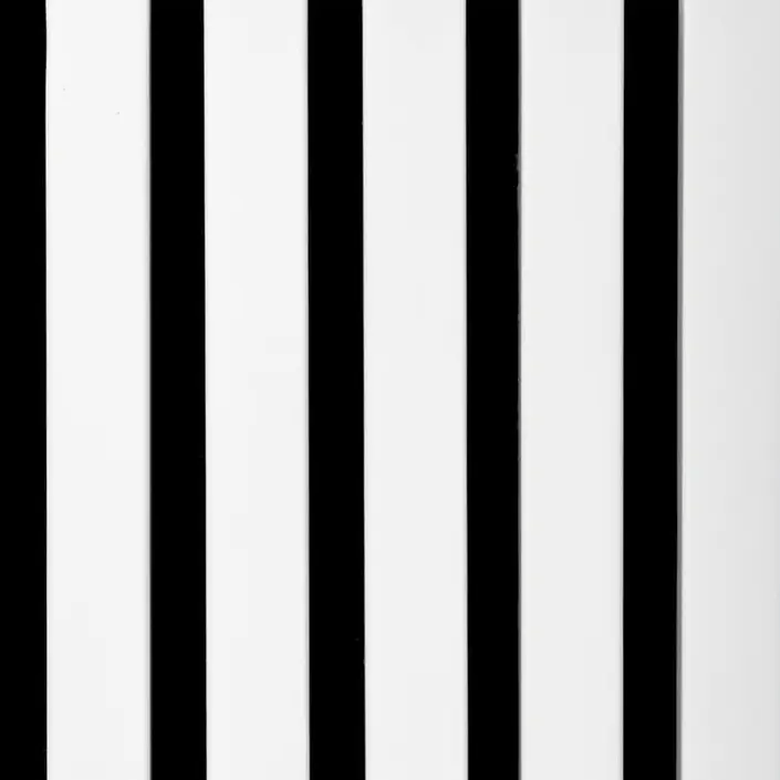 Joka Paro Akustik PAS210 Wit Gelakt RAL9016 240x60 cm