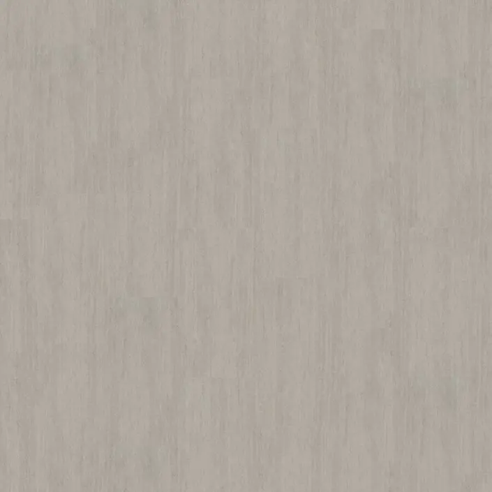 Mflor Abruzzo 60221 Emilia