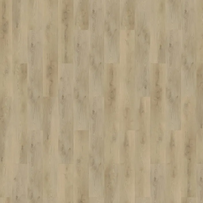 Mflor Colton 62331 Damian