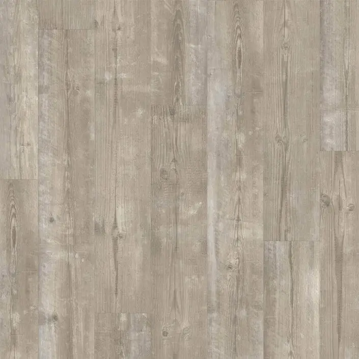 Quickstep Bloom AVMPU40074 Ochtendmist Den