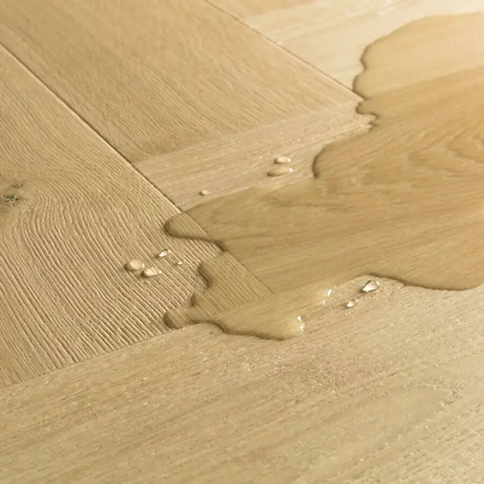 Quickstep Impressive Design IMD8242 Kardemon Eik