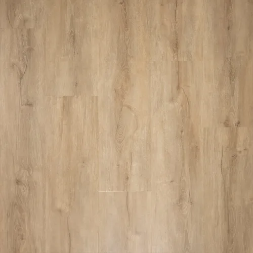 Sense G600 SPC Click