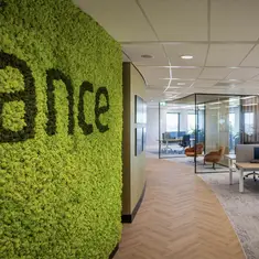 Sense VLN945 Visgraat DB 77,5x15,5 cm