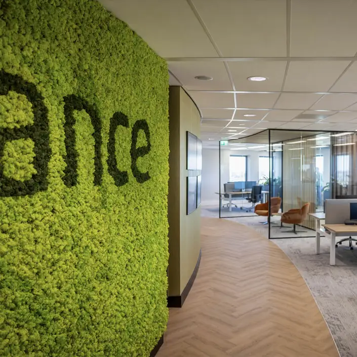 Sense VLN945 Visgraat DB 77,5x15,5 cm